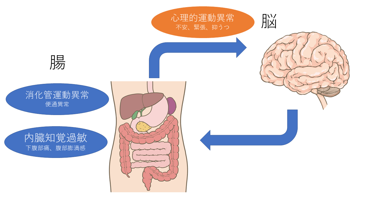 過敏性腸症候群 下痢 便秘 の症状 原因 治し方を解説 京都市中京区の今井内科胃腸科医院